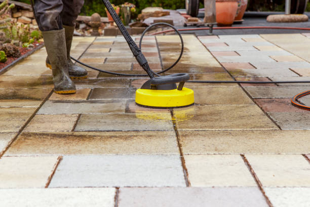 Best Roof Washing  in Louisville, CO